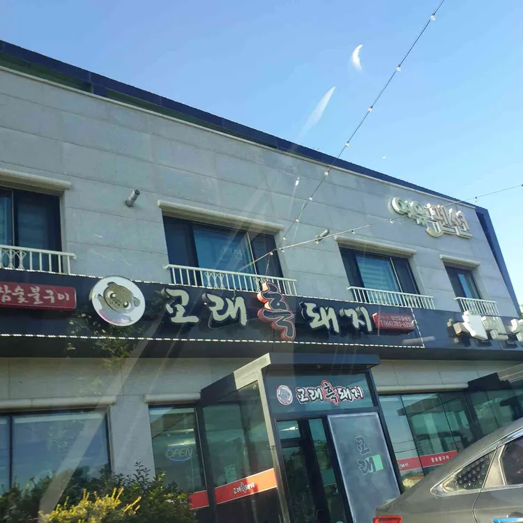 교래흑돼지 사진