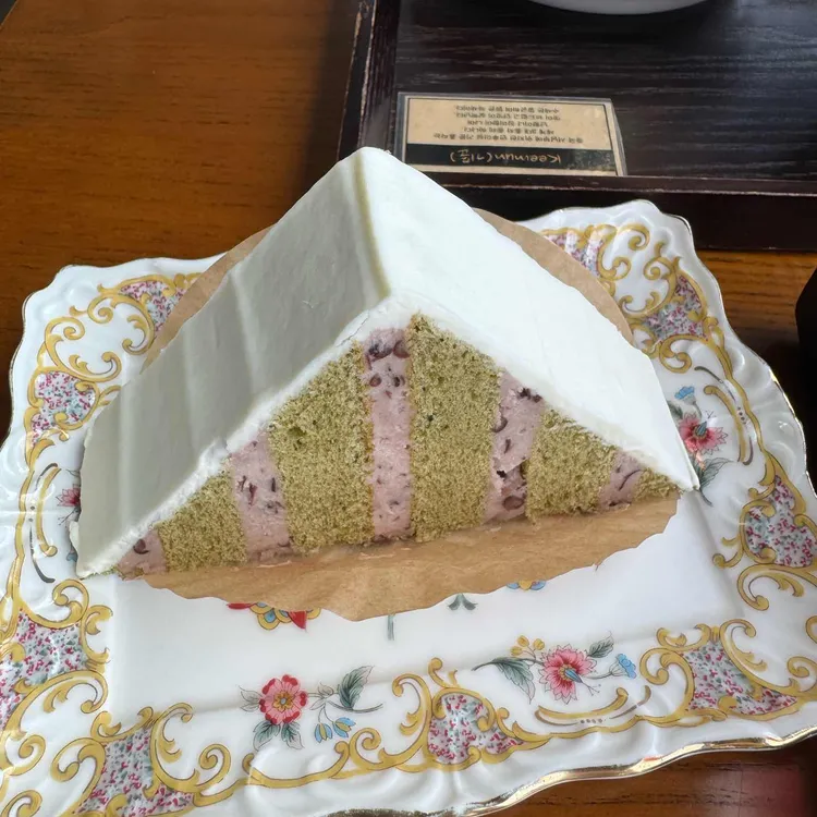 회화나무 사진