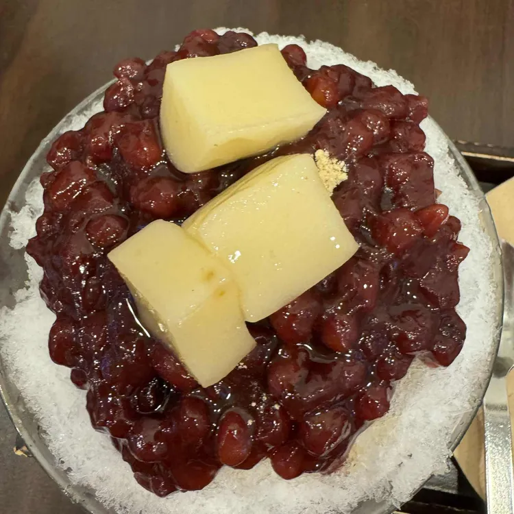 동빙고 사진