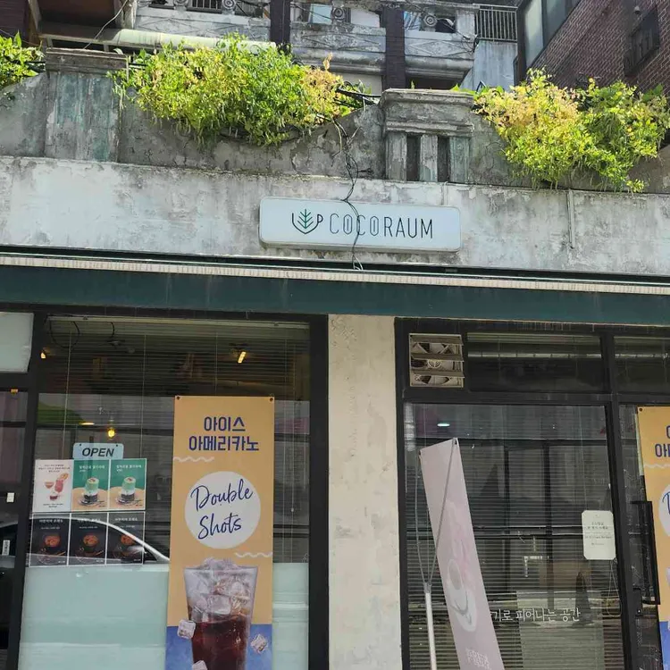 코코라움 사진