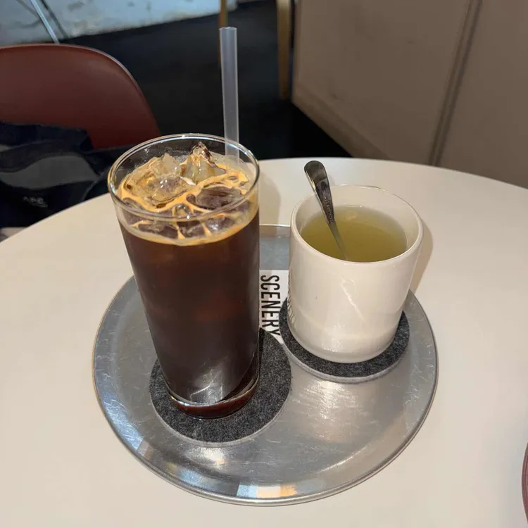 시너리 사진