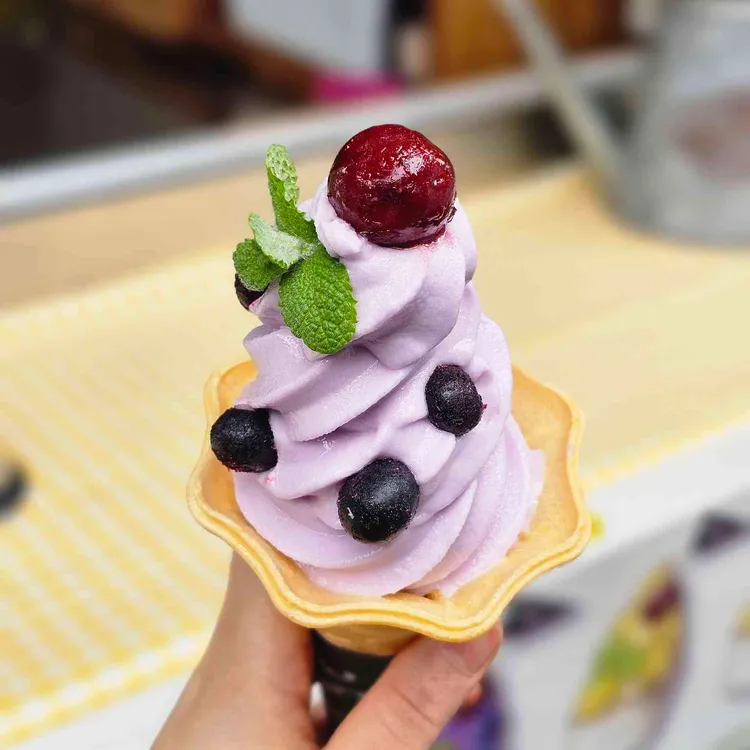 마당공간 사진