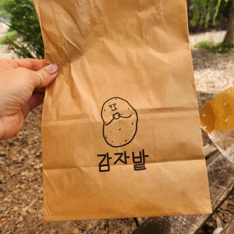 감자밭 사진