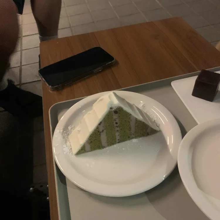 소프트컬러 사진