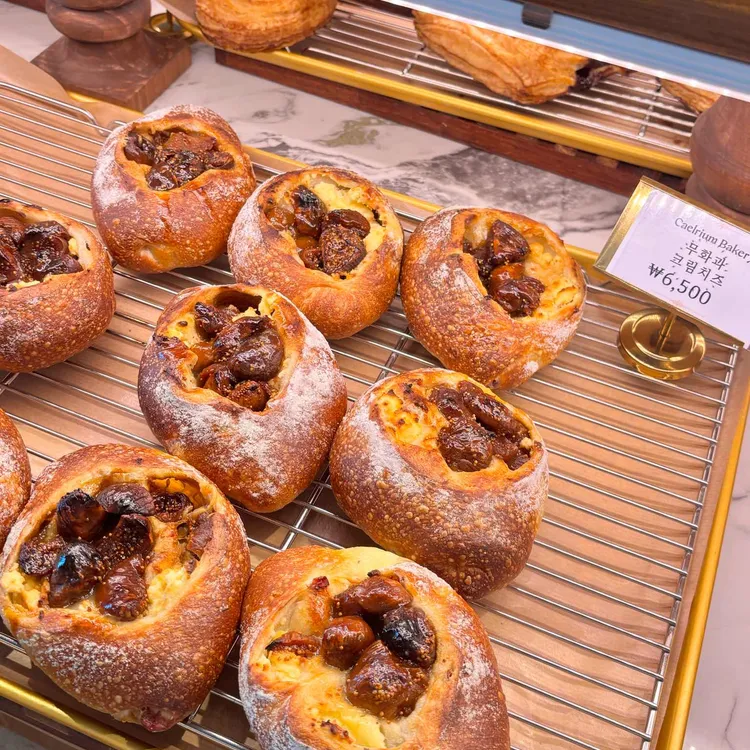카엘리움 사진