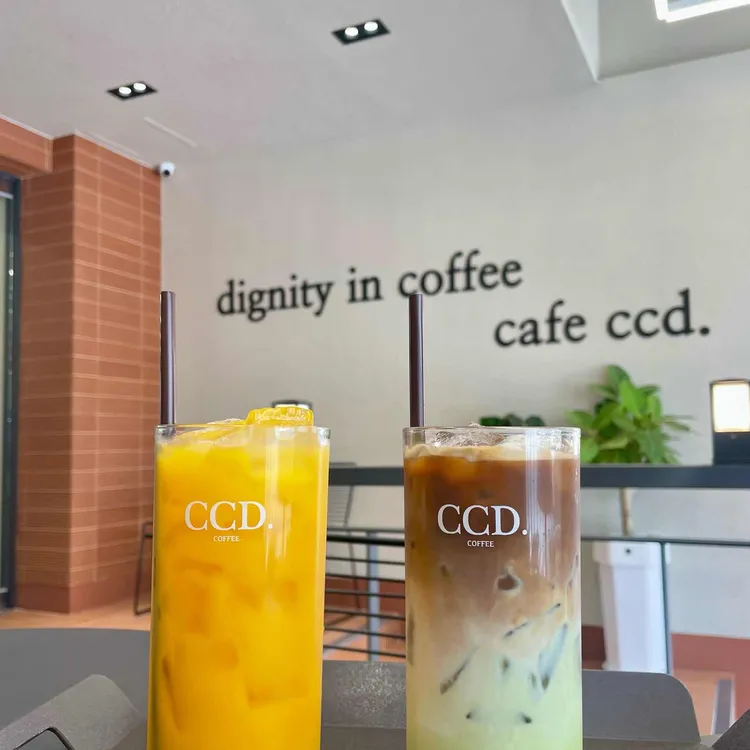 카페CCD 사진