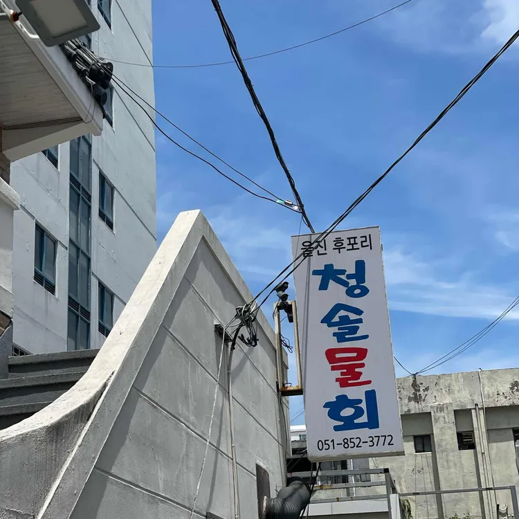 청솔물회 사진