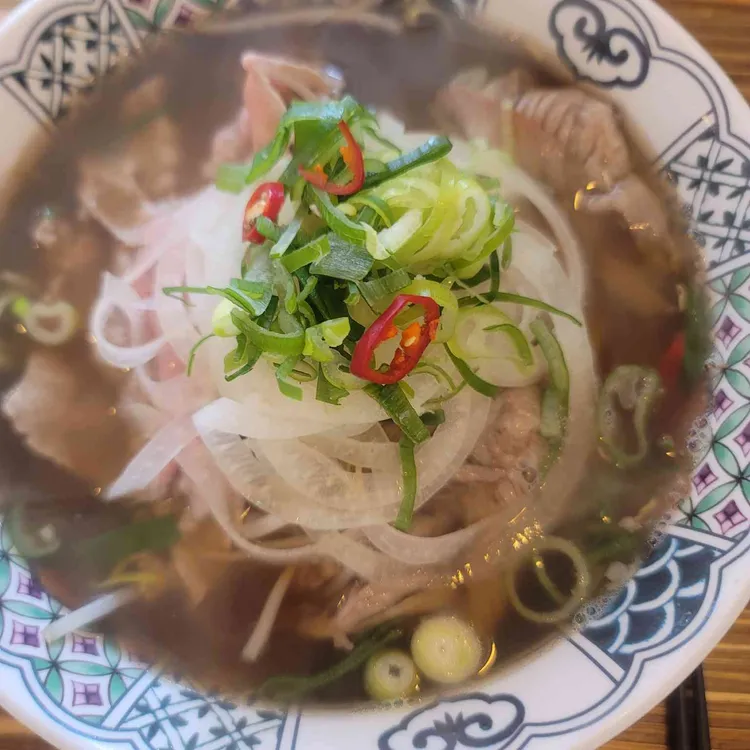 하노이별 사진