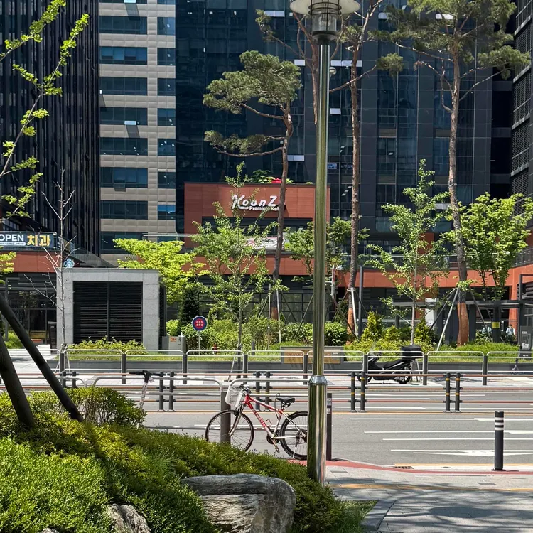 쿤조 사진