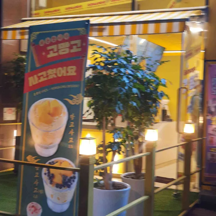 고망고 사진