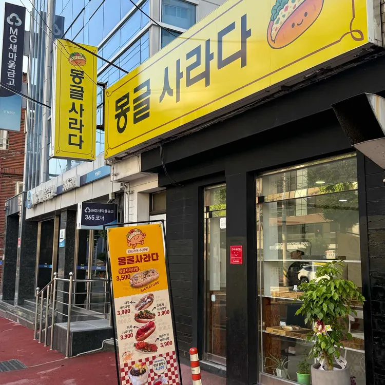 몽글사라다 사진