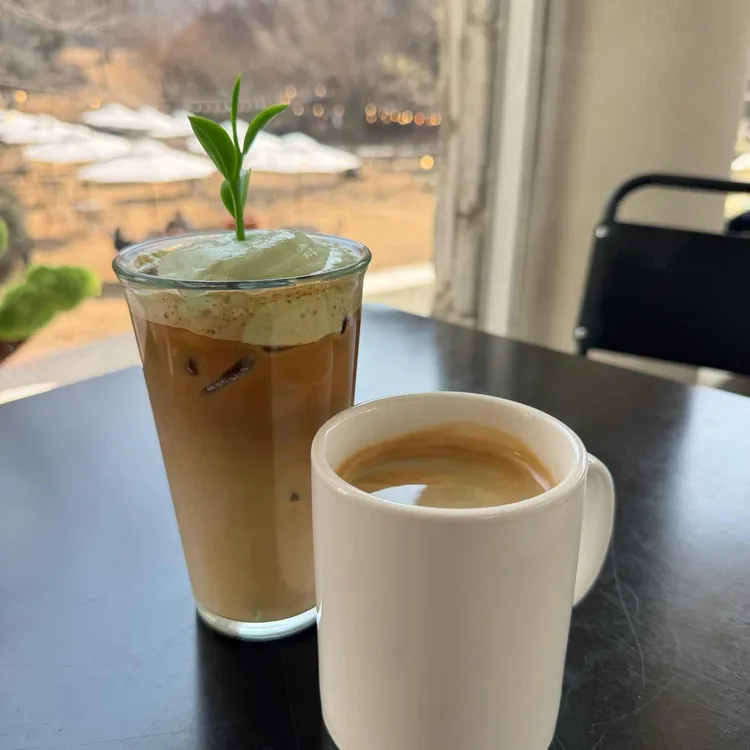 팔숲 사진
