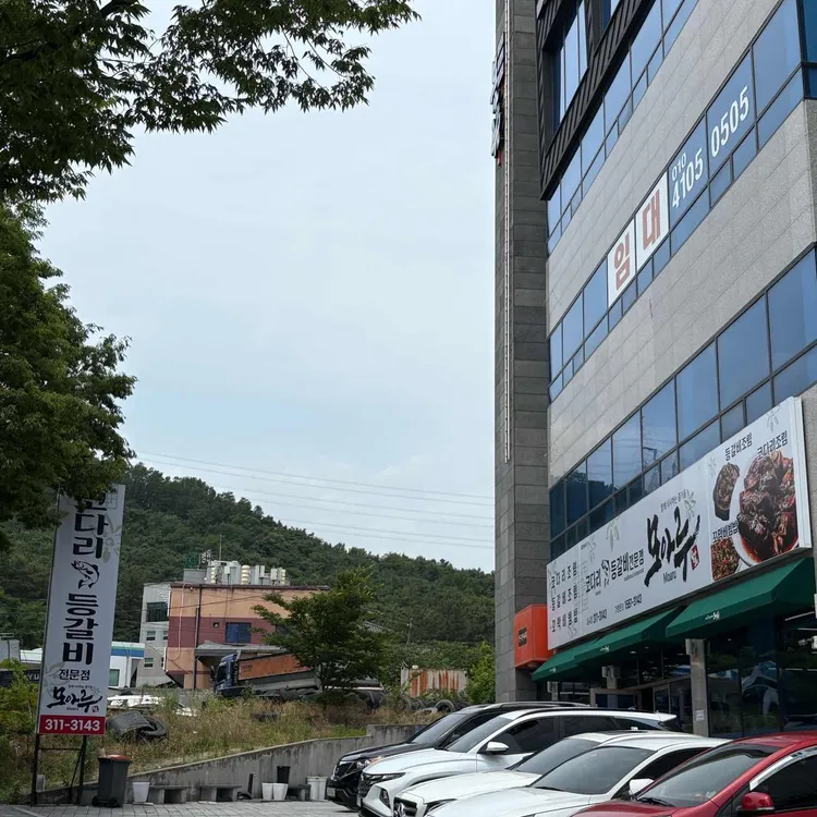 모아루 사진