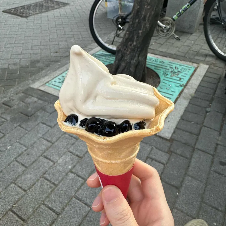 공차 사진