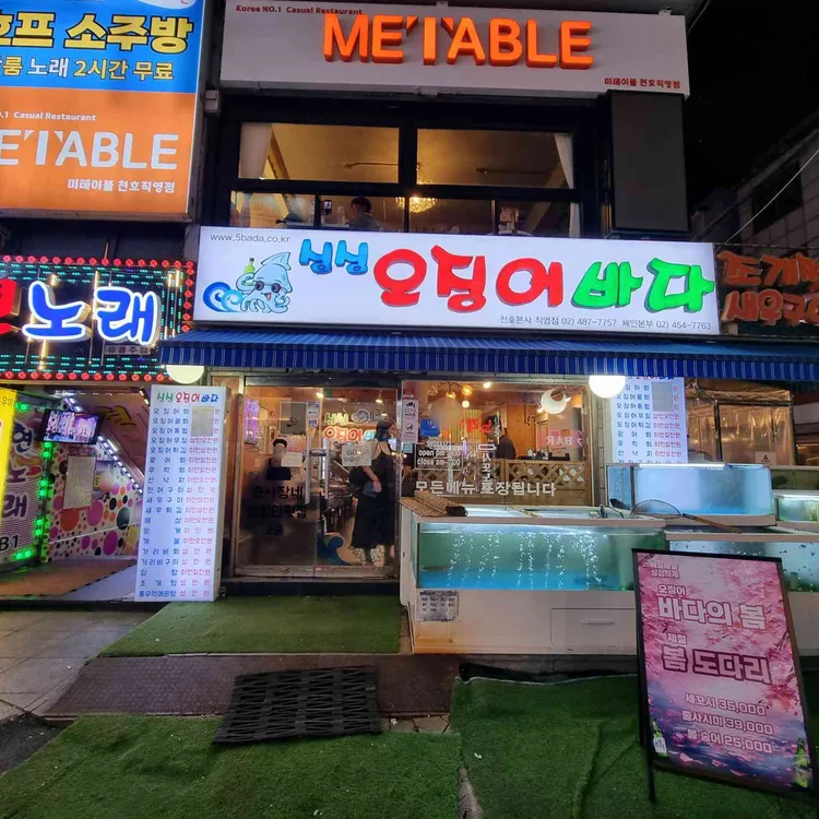 싱싱오징어바다 사진