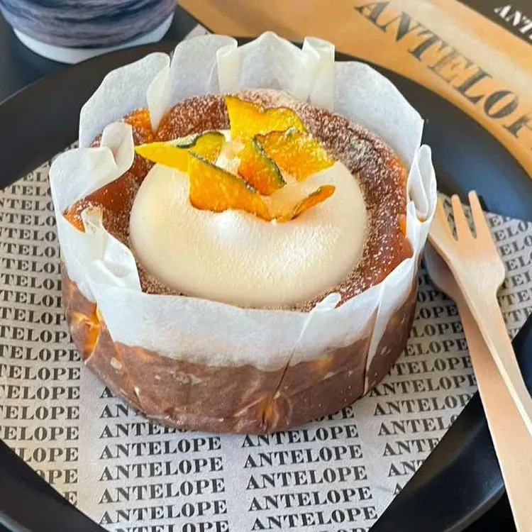 엔틸로프 사진
