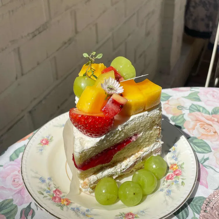 오브테 사진
