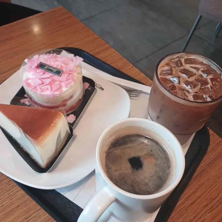 엔제리너스 사진