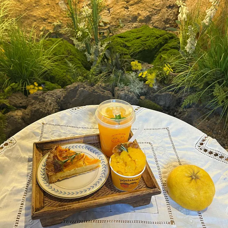 감따남 사진