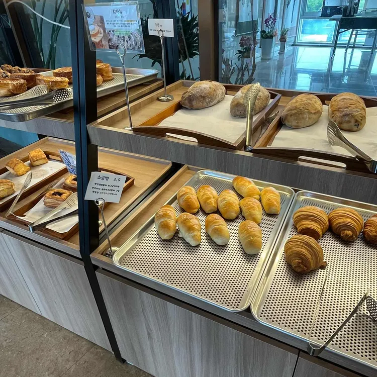 요트랑 사진