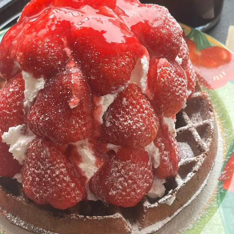 발루토 오목눈이 사진