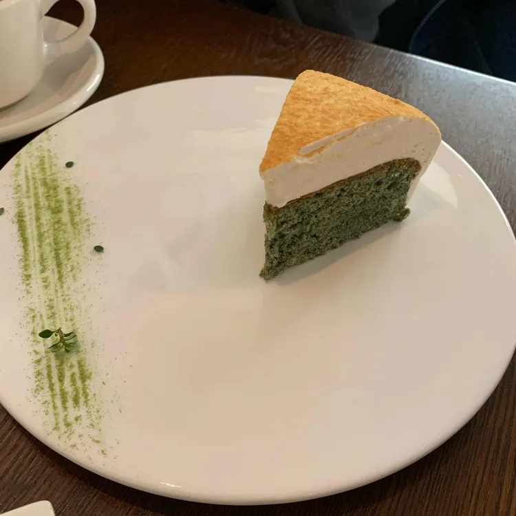코에 사진