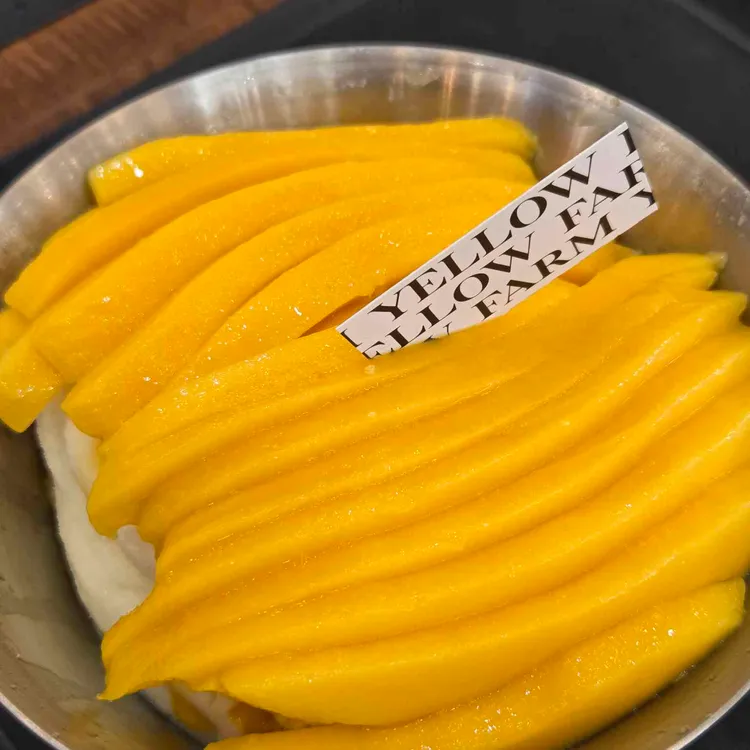 옐로우팜 사진
