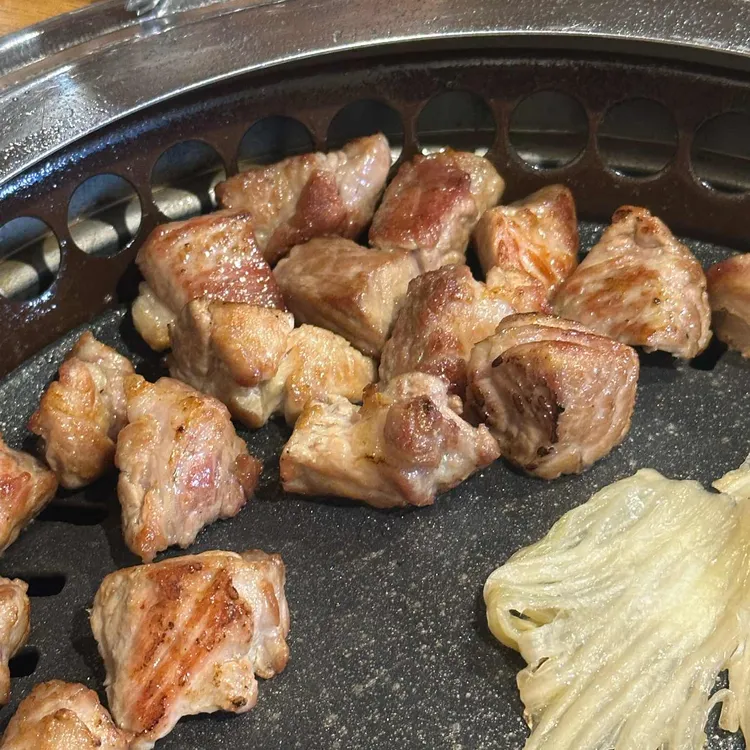 도톰 사진