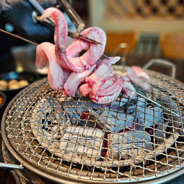달빛장어 사진