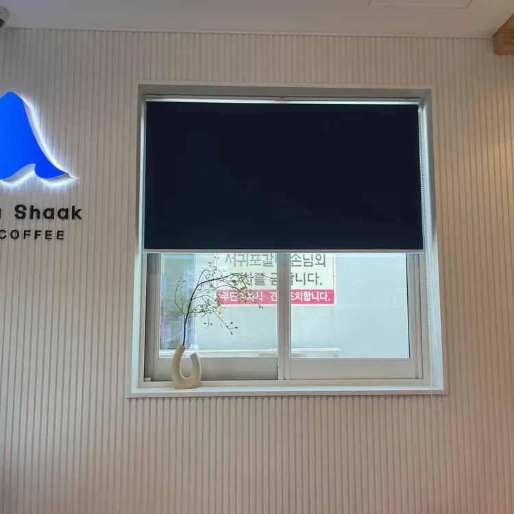 블루샥 사진