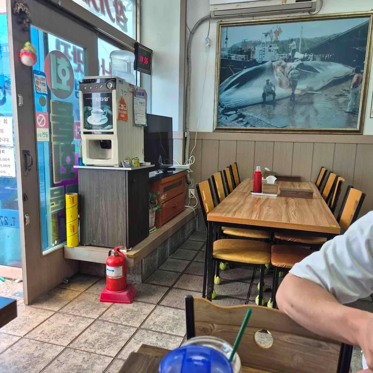 천자물회 사진