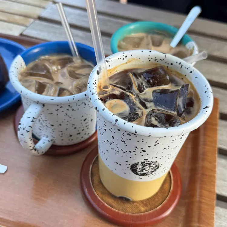 노트르 사진