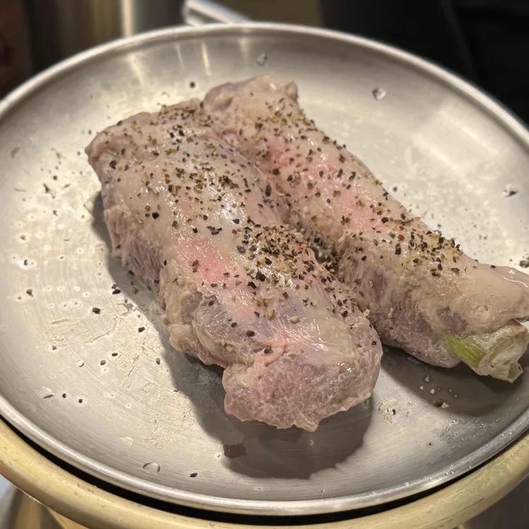 탄천갈매기 사진
