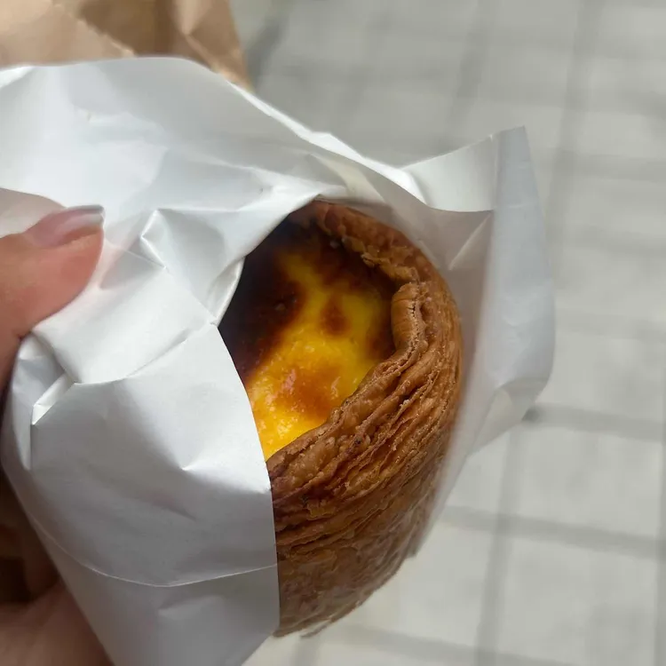 로이당 사진