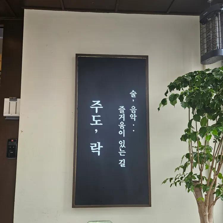 주도락 사진
