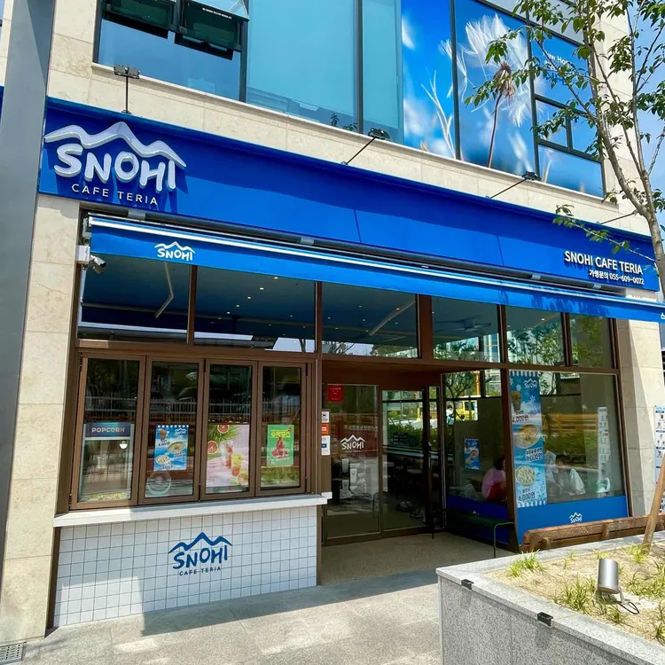 스노히 사진