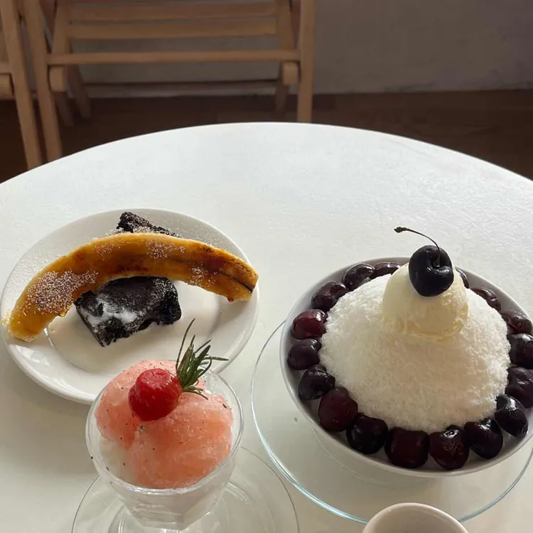 콘드 사진