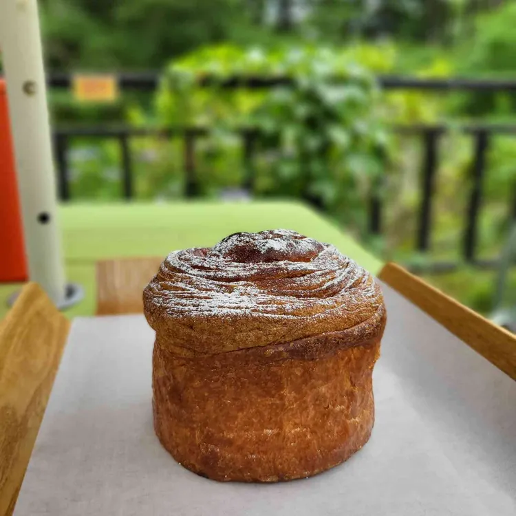 달리온 사진