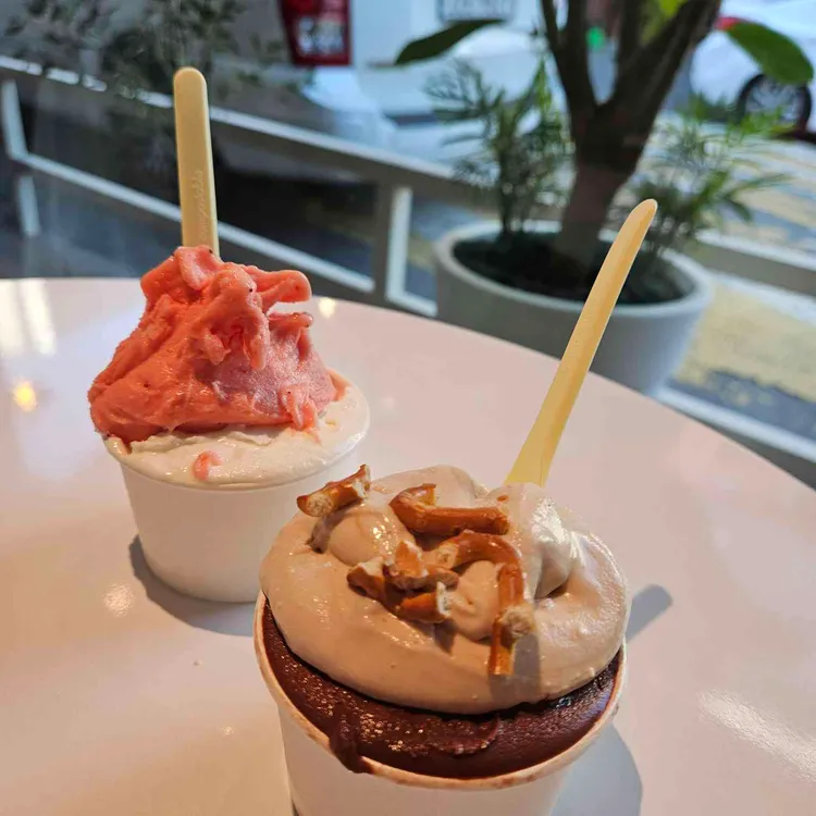 조에젤라떼리아 사진