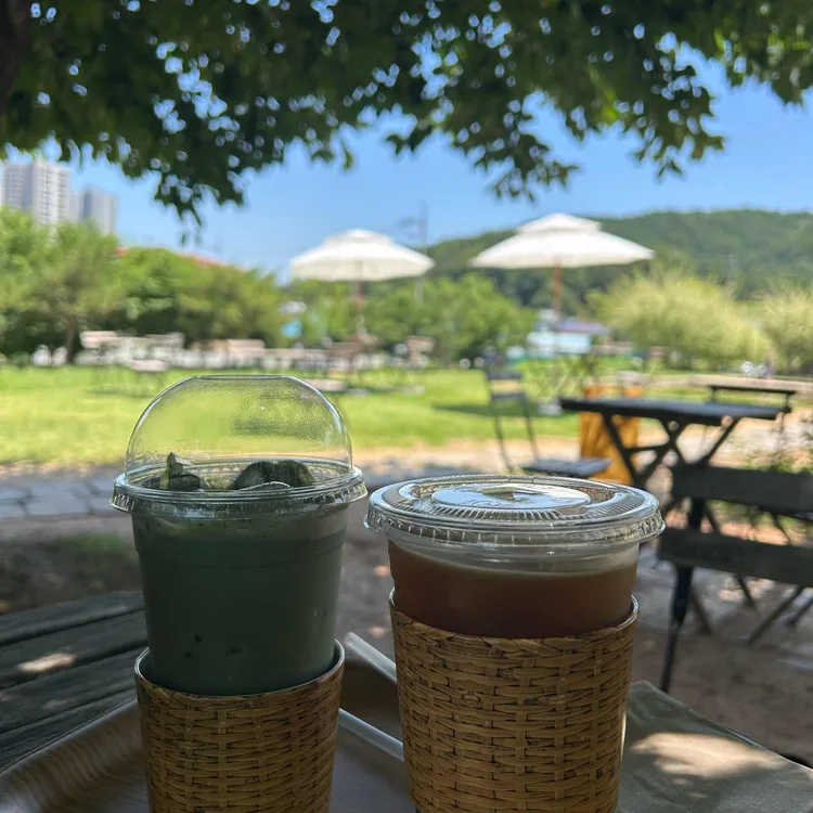 이숲 사진