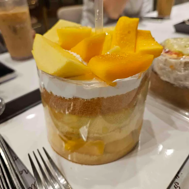빵파제 사진