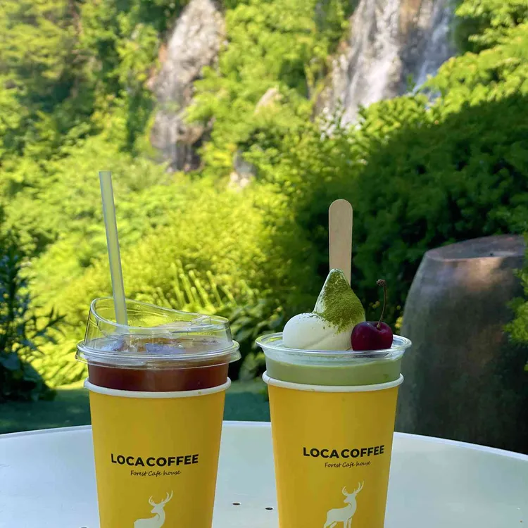 로카커피 사진
