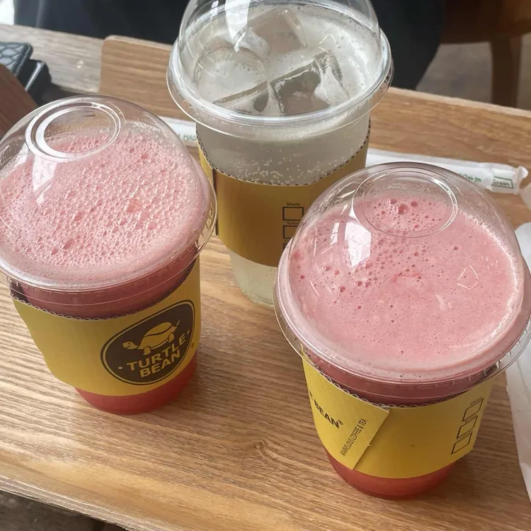 터틀빈 사진