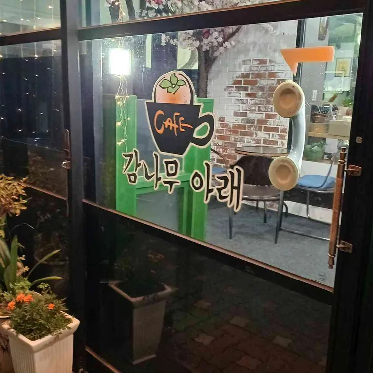 감나무아래 사진