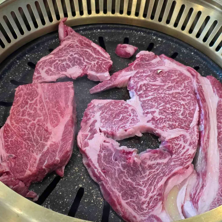 한우랩소디 사진