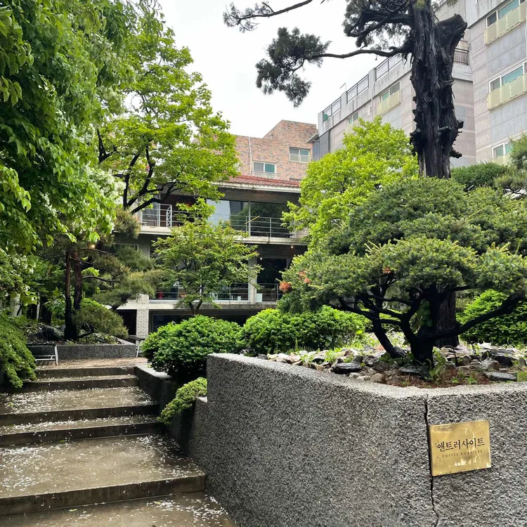 앤트러사이트 사진