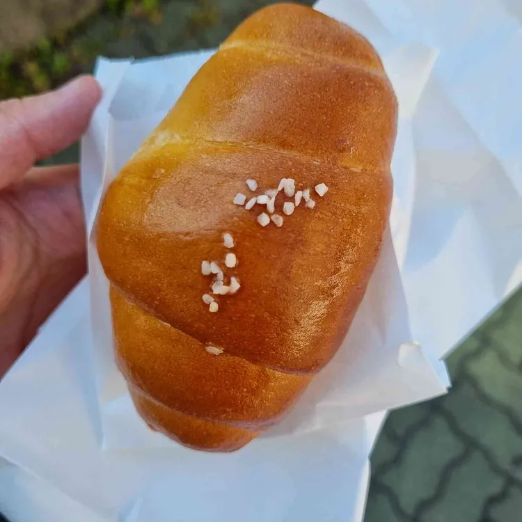 도토리 사진