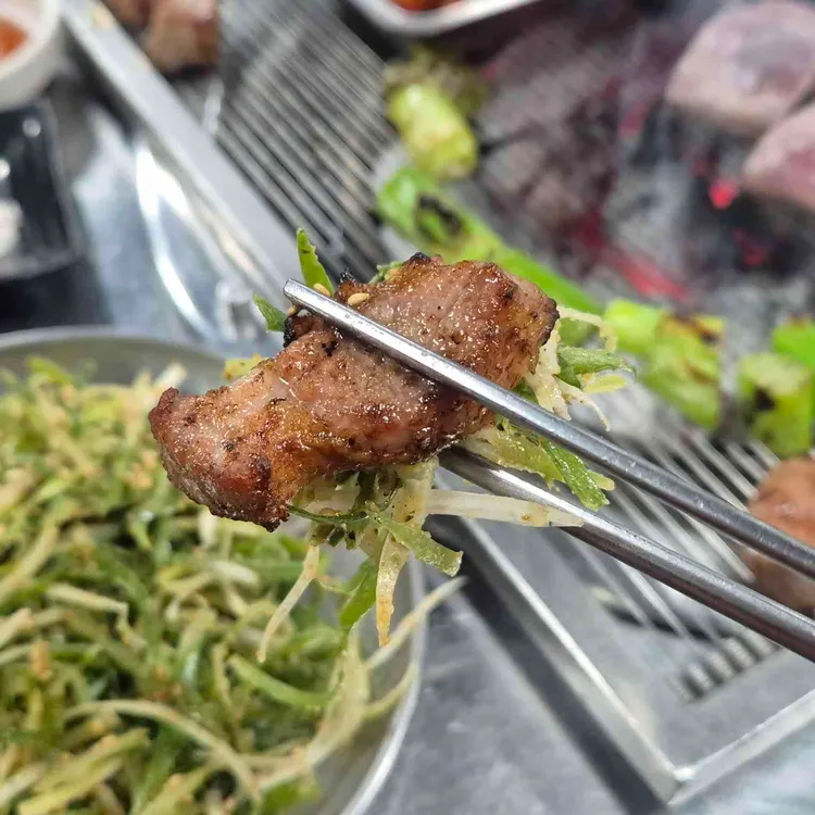 동부갈매기 사진