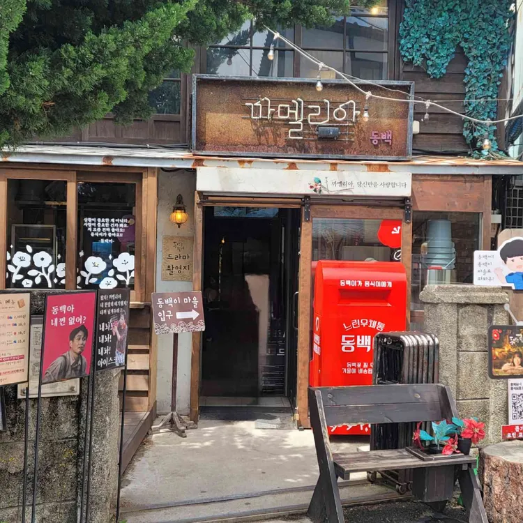 까멜리아 인 구룡포 사진