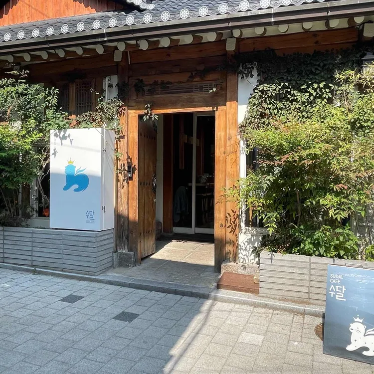 수달 사진